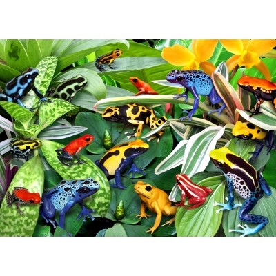 Puzzle  Alipson-Puzzle-F-50168 Fun Frogs