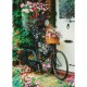 Bicycle and Flowers