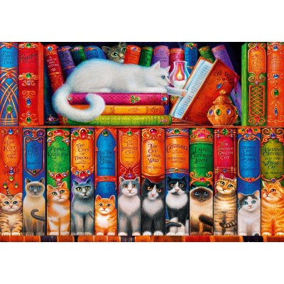 Puzzle  Bluebird-Puzzle-70344-P Cat Bookshelf