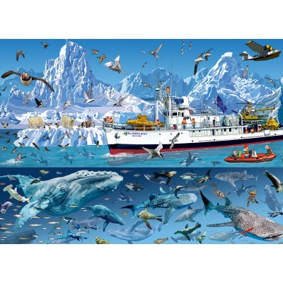 Puzzle  Bluebird-Puzzle-F-90038-JC François Ruyer - Arctic - Bluebird Boat