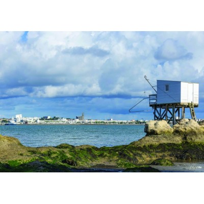 Puzzle Bluebird-Puzzle-F-90542 Carrelet & Royan