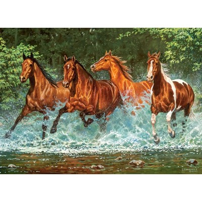 Puzzle  Castorland-030361 Kaskadenlauf