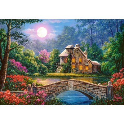 Puzzle  Castorland-104208 Cottage in The Moon Garden
