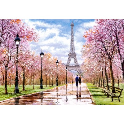 Puzzle  Castorland-104369 Romantic Walk in Paris