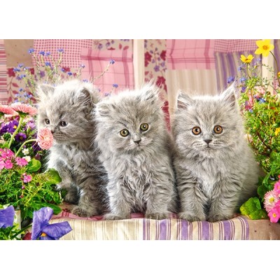 Puzzle Castorland-27491 Three Grey Kittens