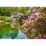 Puzzle  Castorland-53490 Mill by the Pond