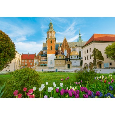 Puzzle  Castorland-53599 Wawel Castle, Krakow, Poland