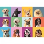 Puzzle  Clementoni-21739 XXL Teile - Lustige Gesichter