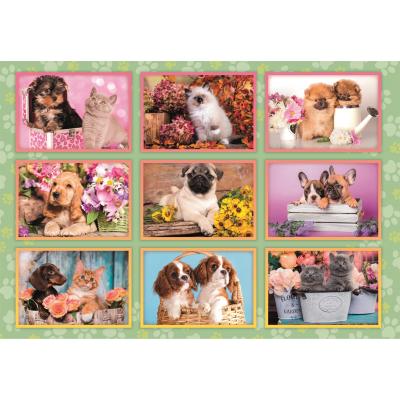 Puzzle  Clementoni-29788 Welpen Collage