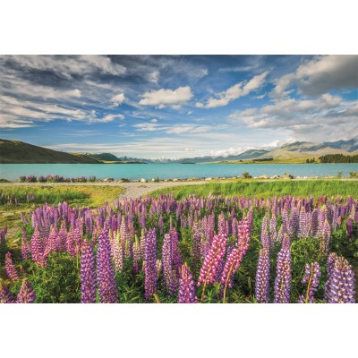 Puzzle Clementoni-31731 Lupine Am Lake Tekapo