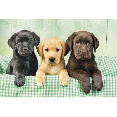 Puzzle  Clementoni-39279 Drei Labore