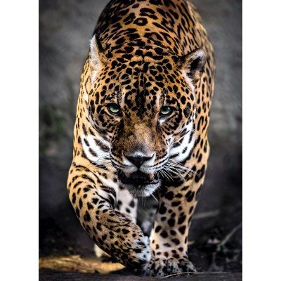 Puzzle  Clementoni-39326 Spaziergang Des Jaguars