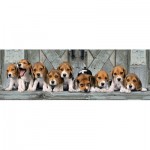 Puzzle  Clementoni-39869 Beagles