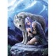 Anne Stokes - Beschützerin