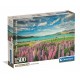 Lupine Am Lake Tekapo