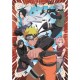 Naruto Shippuden