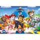 Paw Patrol