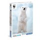 WWF - Eisbär