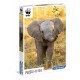 WWF - Elefante