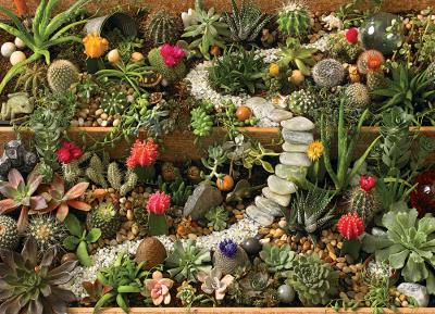 Puzzle Cobble-Hill-40087 Succulent Garden
