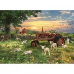 Puzzle  Cobble-Hill-40268 Feld bei Sonnenaufgang