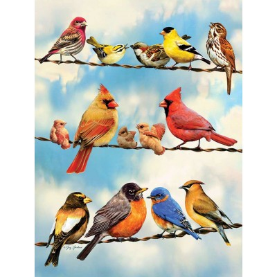 Puzzle Cobble-Hill-45046 XXL Teile - Birds on a Wire