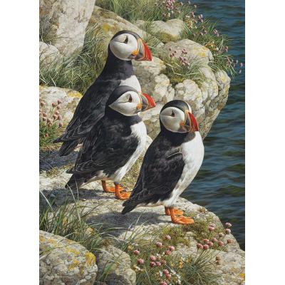 Puzzle  Cobble-Hill-45052 Fischgründe