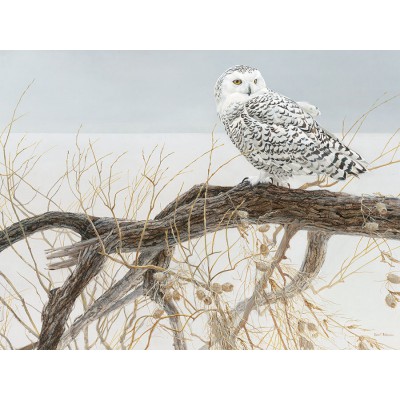 Puzzle Cobble-Hill-52084 XXL Teile - Fallen Willow Snowy Owl