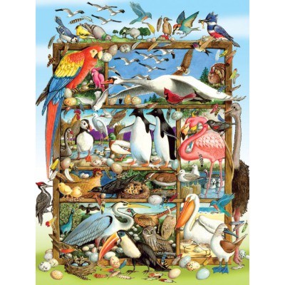 Puzzle Cobble-Hill-54581 Laura L Seeley: Vögel der Welt