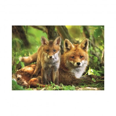 Puzzle Dino-47229 XXL Teile - Fox and Cub