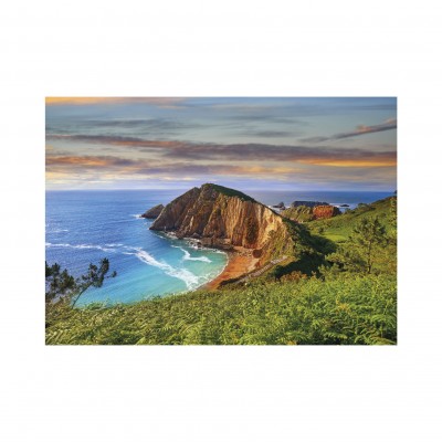 Puzzle  Dino-50243 Meeresriff