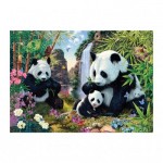  Dino-53263 Secret Puzzle - Pandas