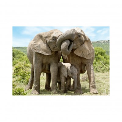 Puzzle  Dino-53295 Elefantenfamilie