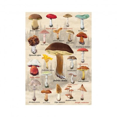 Puzzle  Dino-53309 Pilz-Collage