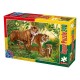 Wild Animals - Tigers