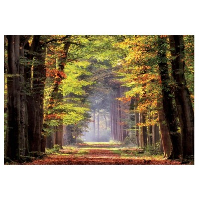 Puzzle  Educa-19021 Spaziergang durch den Herbstwald