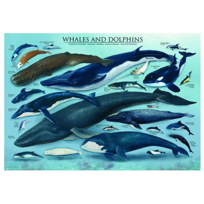 Puzzle  Eurographics-6000-0082 Delfine und Wale