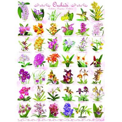 Puzzle Eurographics-6000-0655 Orchideen