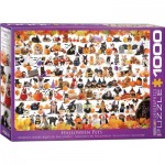 Puzzle  Eurographics-6000-5416 Halloween Puppies and Kittens