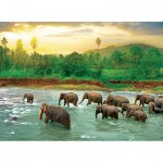 Puzzle  Eurographics-6000-5540 Save our Planet Collection - Regenwald