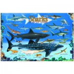 Puzzle  Eurographics-6100-0079 Haie