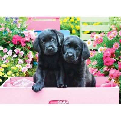 Puzzle Eurographics-8500-5462 XXL Teile - Black Labs in Pink Box