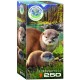 Save the Planet - Otters