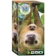 Save the Planet - Sloth