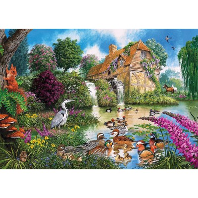  Gibsons-G5025 4 Puzzles - John Francis: Flora und Fauna