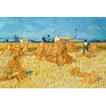 Puzzle  Grafika-F-30836 Vincent van Gogh, 1888