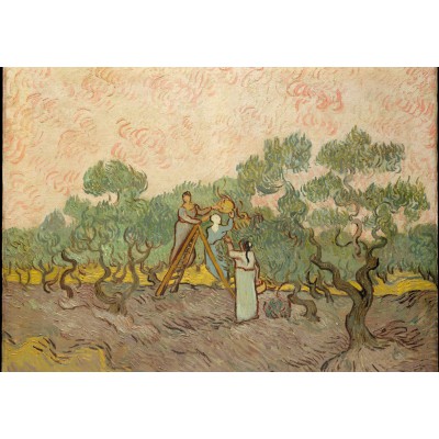 Puzzle  Grafika-F-31637 Van Gogh: Women Picking Olives,1889