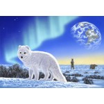 Puzzle  Grafika-F-31720 Schim Schimmel - Artic Fox