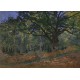 Magnetische Teile - Claude Monet: Fontainebleau, 1865