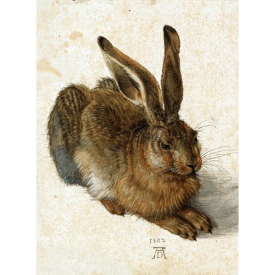 Puzzle  Grafika-F-30470 Albrecht Dürer - Der Hase, 1502
